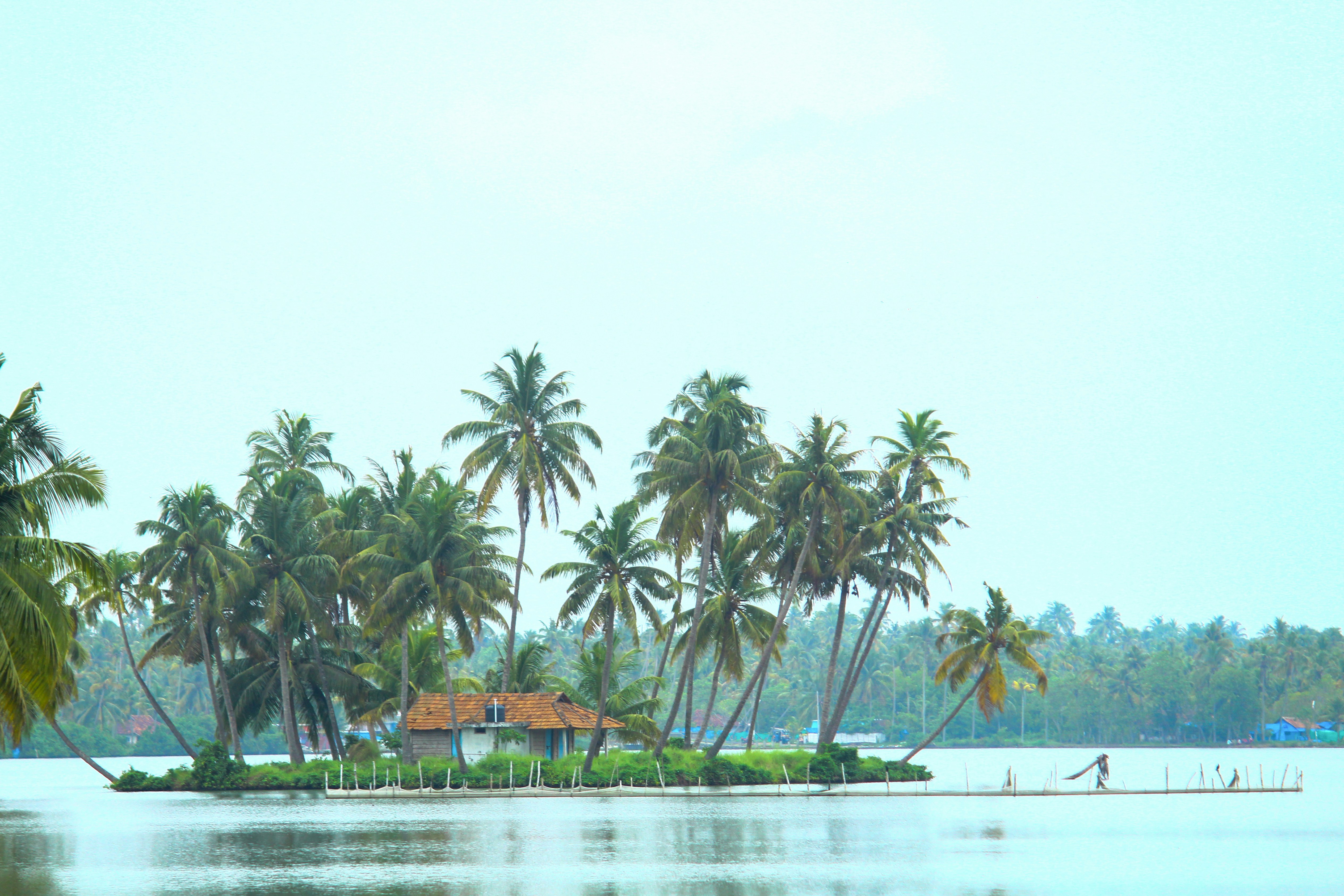 Kerala Trip Cost for Couples, Families & Solo Travelers in 2026