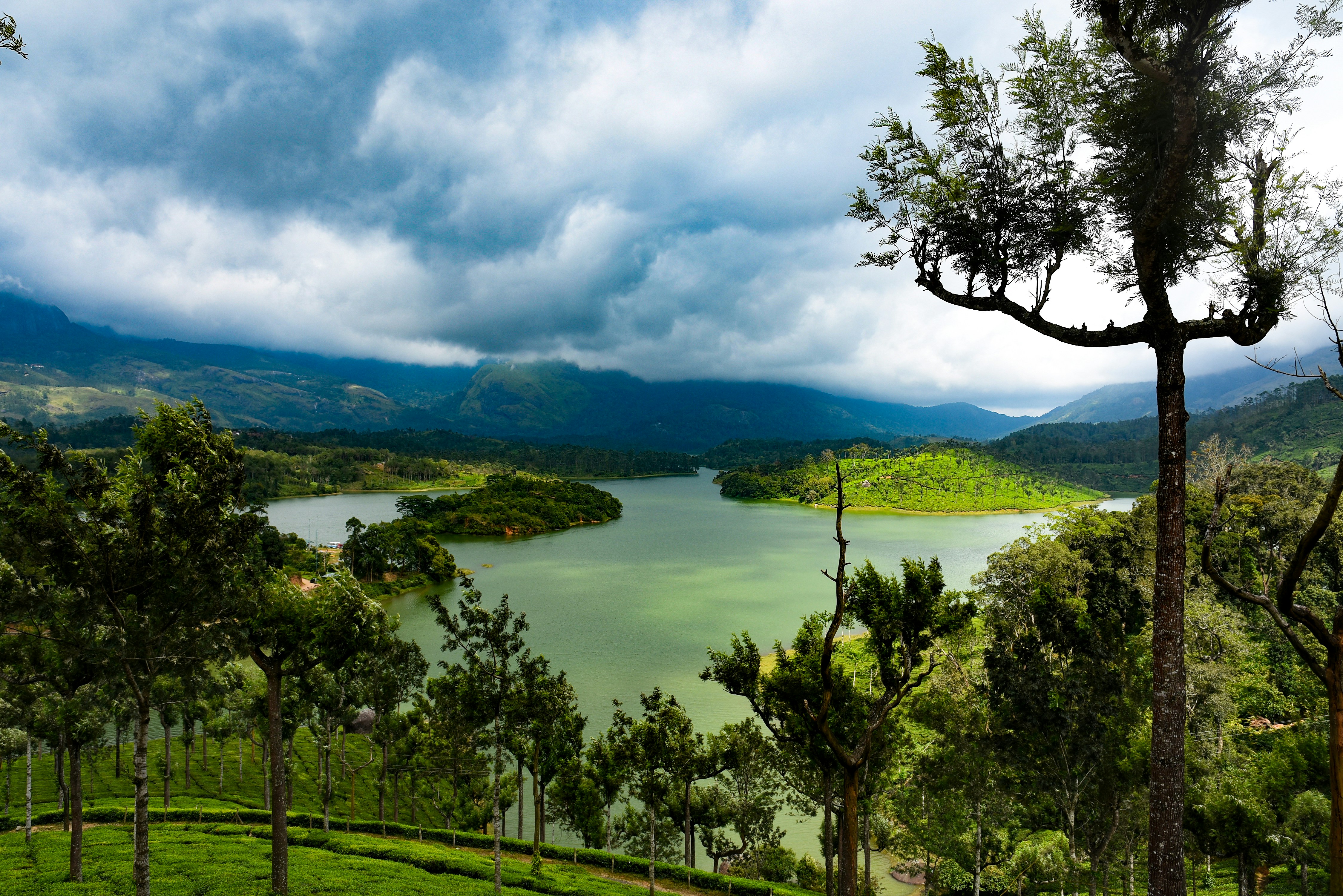 Munnar and Alleppey Tour Plan for Couples: A Perfect Romantic Kerala Getaway